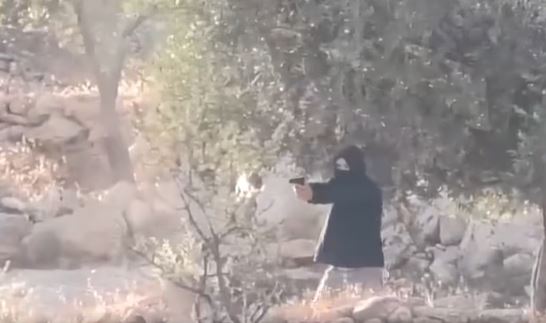 مستعمر يشهر سلاحه باتجاه المواطنين خلال الهجوم على برقا 